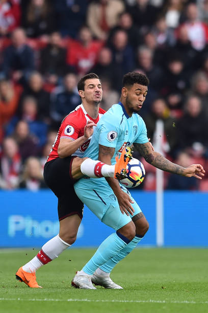 球迷和媒体 球迷和媒体