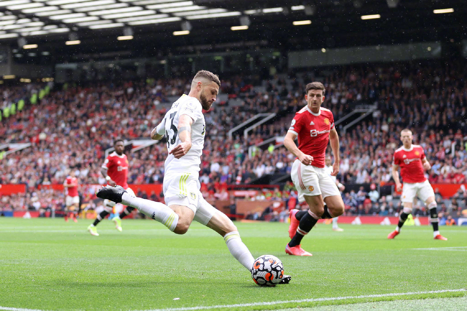 他们看中了 他们看中了