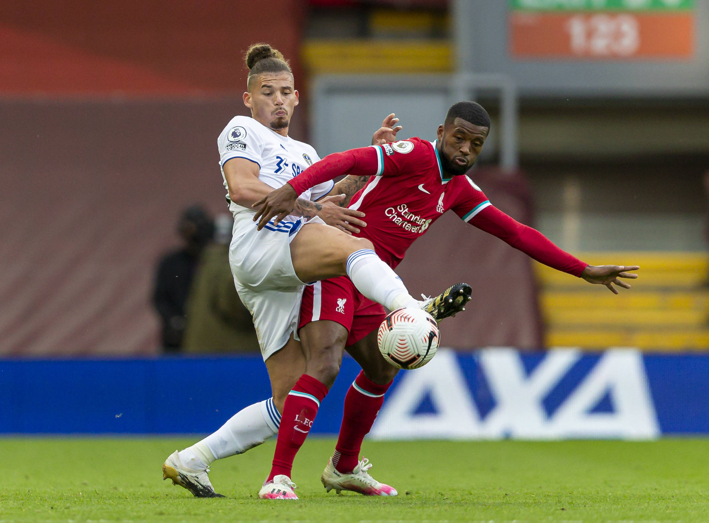 的双重期待 的双重期待